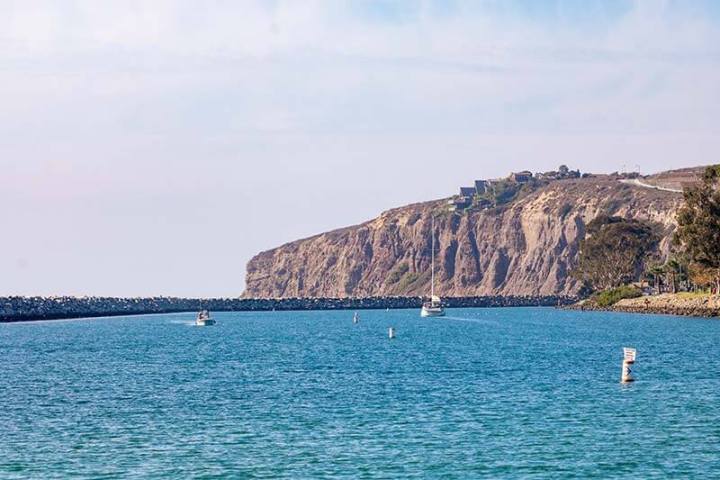 View of Dana Point Harbor with headlands in the background during Captain Dave's boat cruise