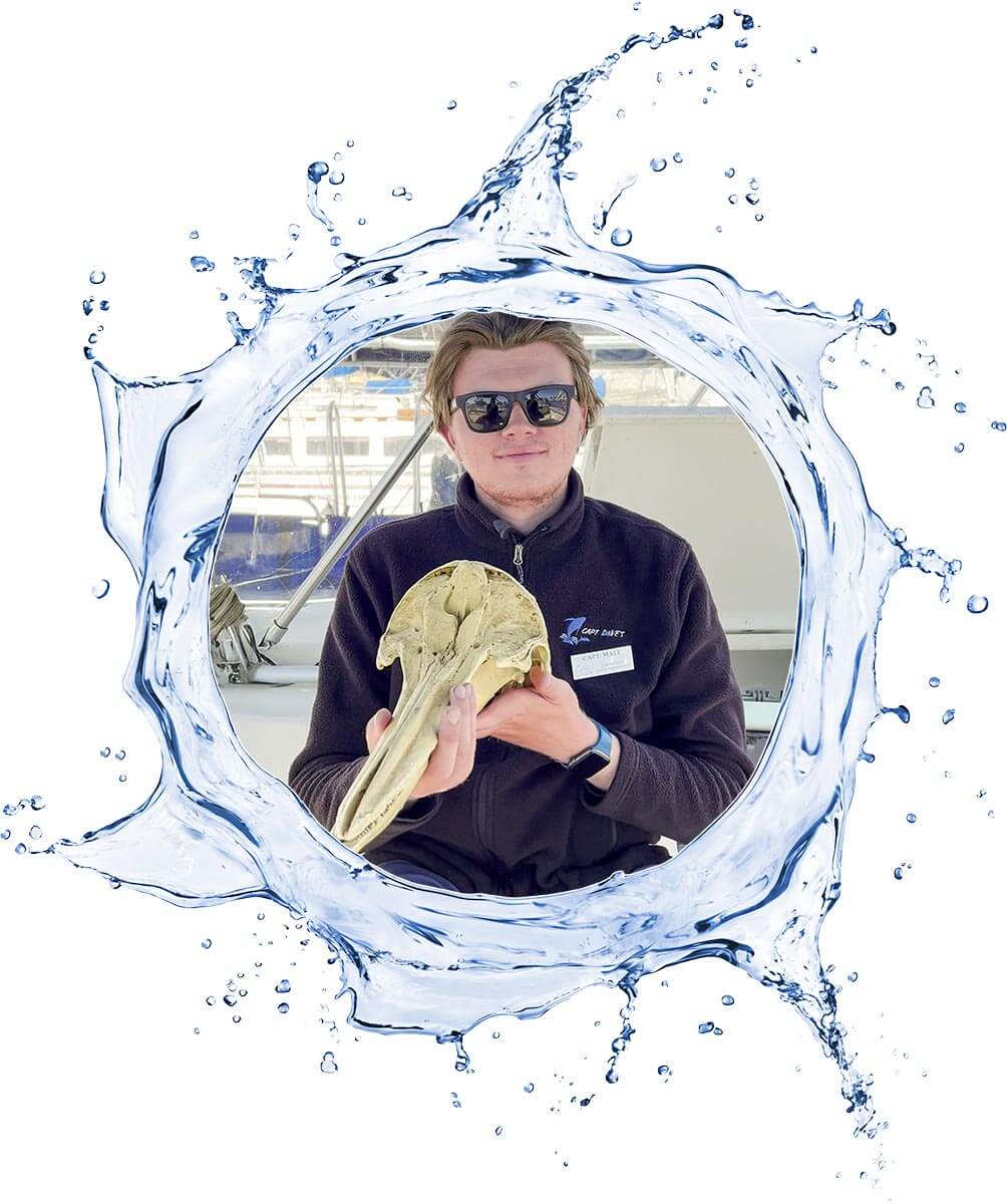 Person holding a dolphin skull, surrounded by a splash of water design.