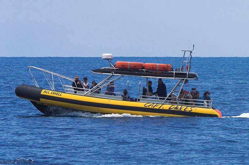 Rigid hull inflatable (zodiac-style) boat AllsWell in Dana Point, California