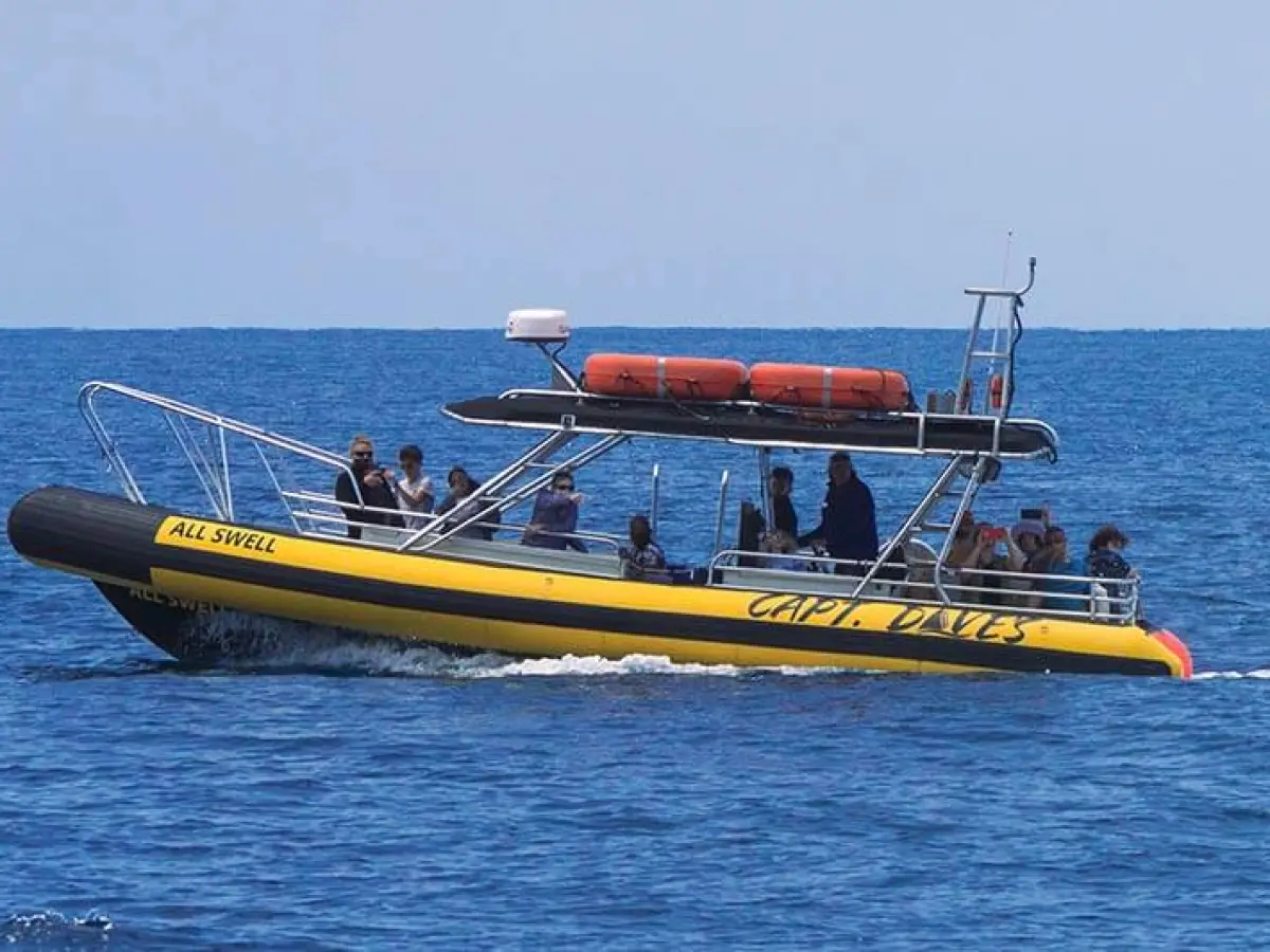 Rigid hull inflatable (zodiac-style) boat AllsWell in Dana Point, California