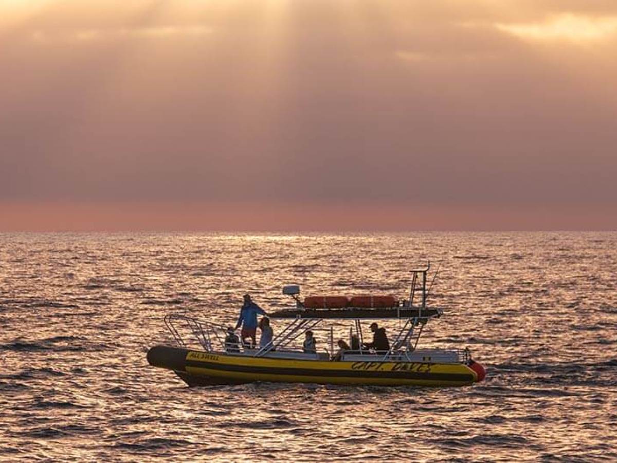 Rigid hull inflatable (zodiac-style) boat AllsWell at sunset in Dana Point, California