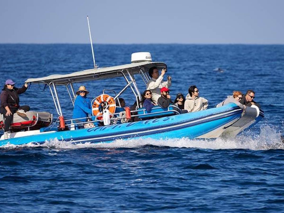 Rigid hull inflatable (zodiac-style) catamaran Fast Cat in Dana Point, California