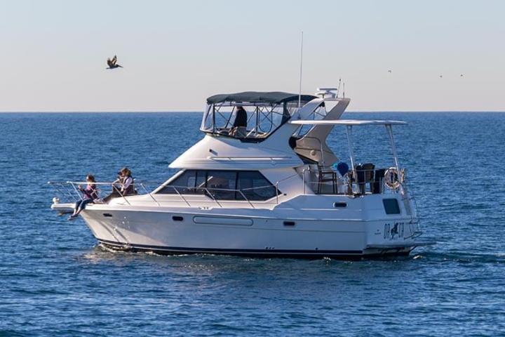 38-foot Motor Yacht ORCA available for charters