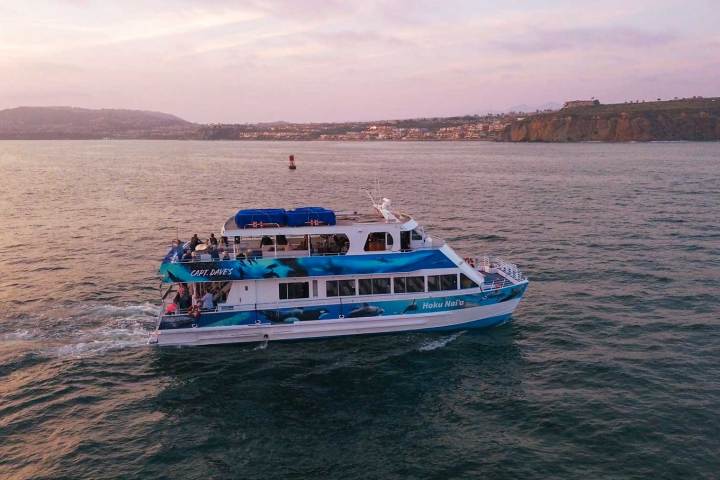 Hoku Nai'a party boat