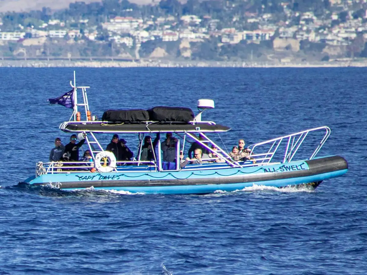 AllsWell, a rigid hull inflatable (Zodiac), off Dana Point, California