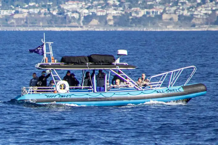 AllsWell, a rigid hull inflatable (Zodiac), off Dana Point, California