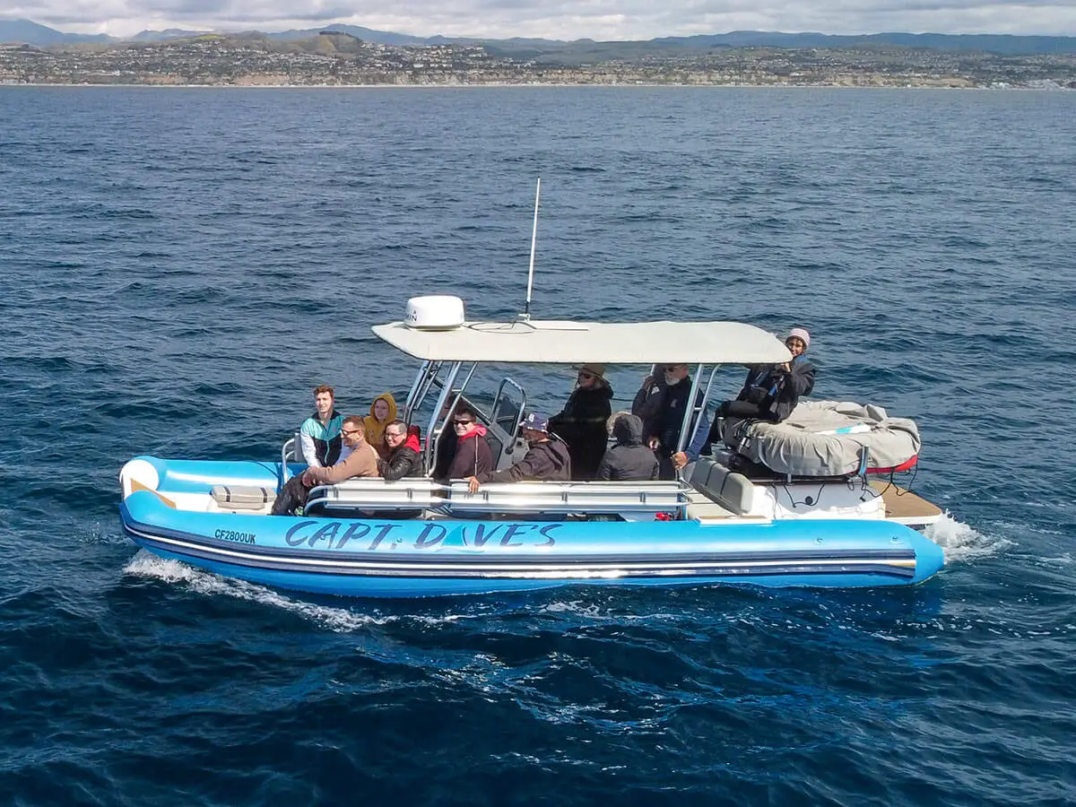 Rigid hull inflatable (Zodiac) catamaran, Fast Cat, off the coast of Dana Point, California