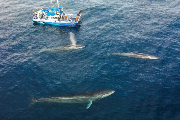 a small boat in a body of water