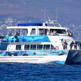Hoku Nai'a Catamaran Boat Rental off the coast of Dana Point, CA