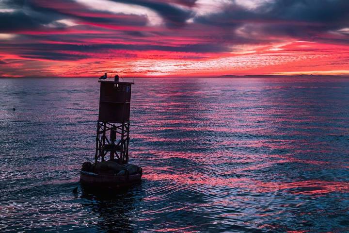 Sea lions lounge on a buoy during a Dana Point sunset on the water filled with vibrant orange, purple, and pink hues