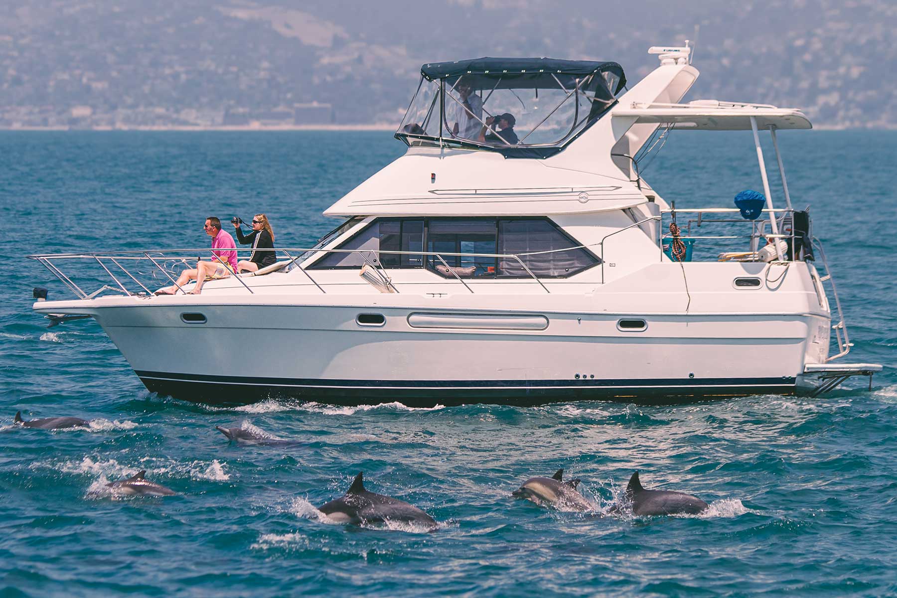 Marriage Proposal at Sea Dolphins make a memorable marriage proposal on a yacht off the coast of Dana Point, California